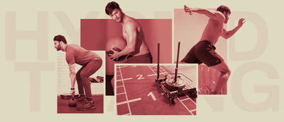 Hybrid Training – Best of Both Worlds