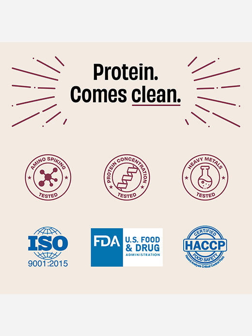 TWT Protein Powder Light Cocoa