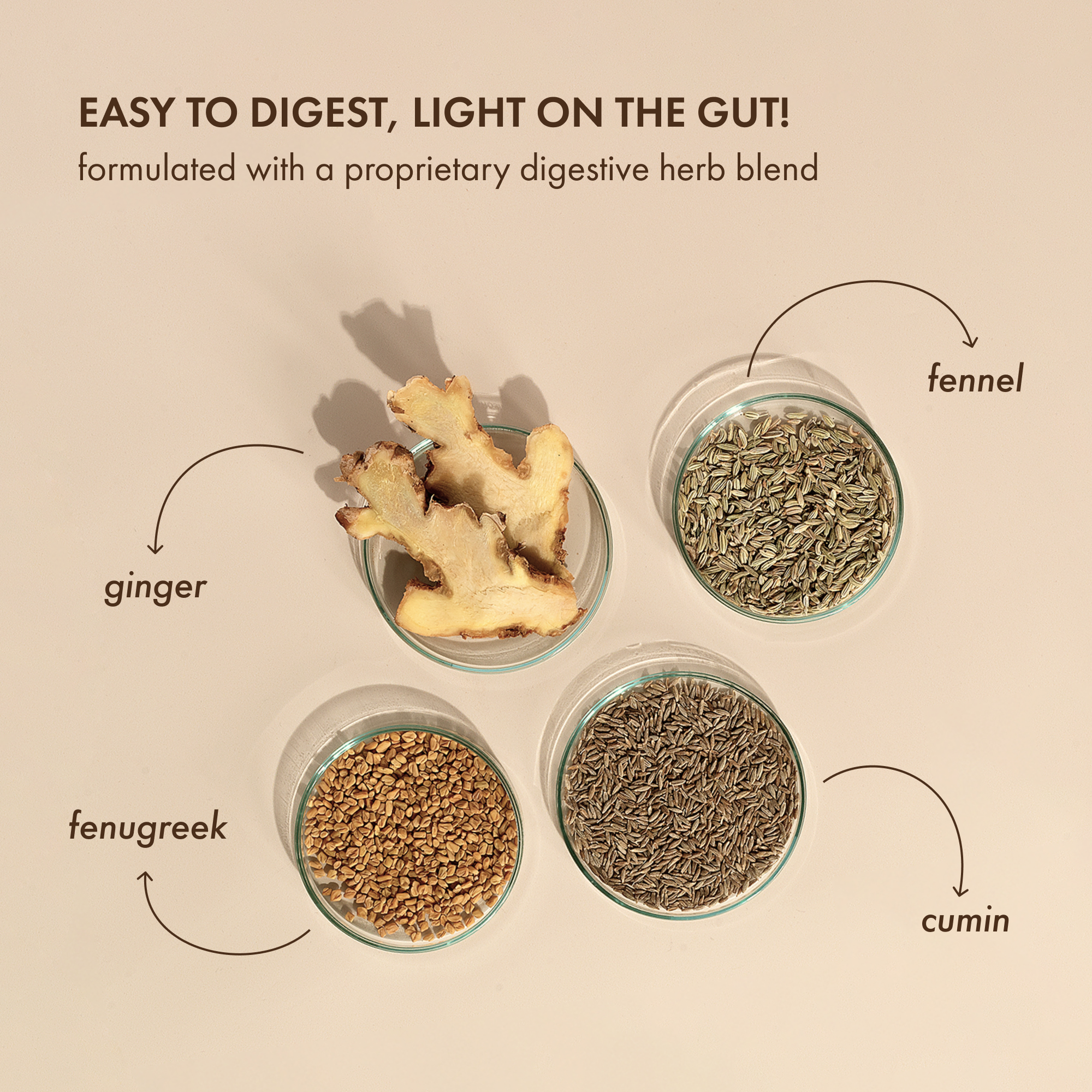 Cosmix Plant Protein 